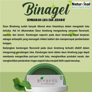 BINAGEL