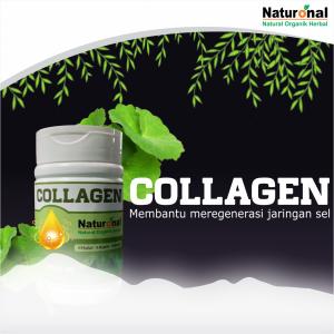 COLLAGEN