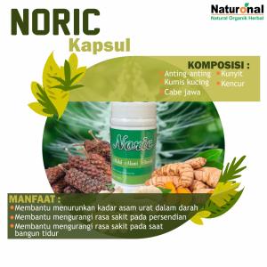 NORIC KAPSUL