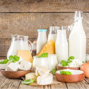 icon Milks and Dairies