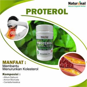 PROCATEROL